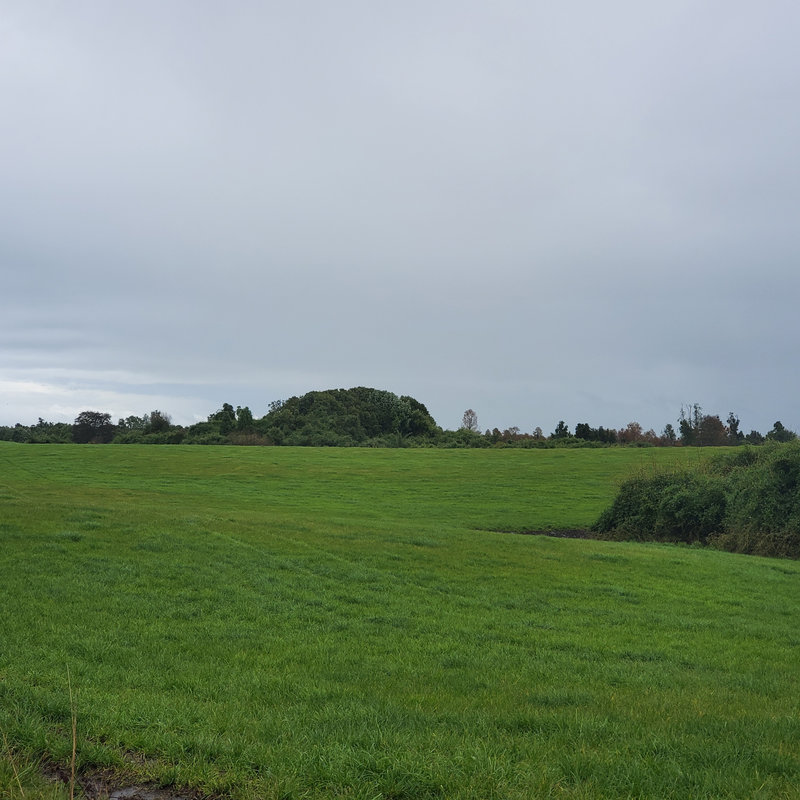 346 campo en venta 800 ha Valdivia invertir en terrenos en chile (36)