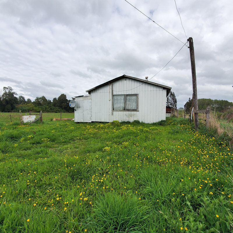 372 campo en venta 124 ha Puerto Montt invertir en terrenos en chile (13)