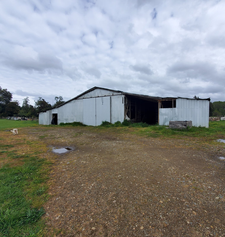 372 campo en venta 124 ha Puerto Montt invertir en terrenos en chile (17)