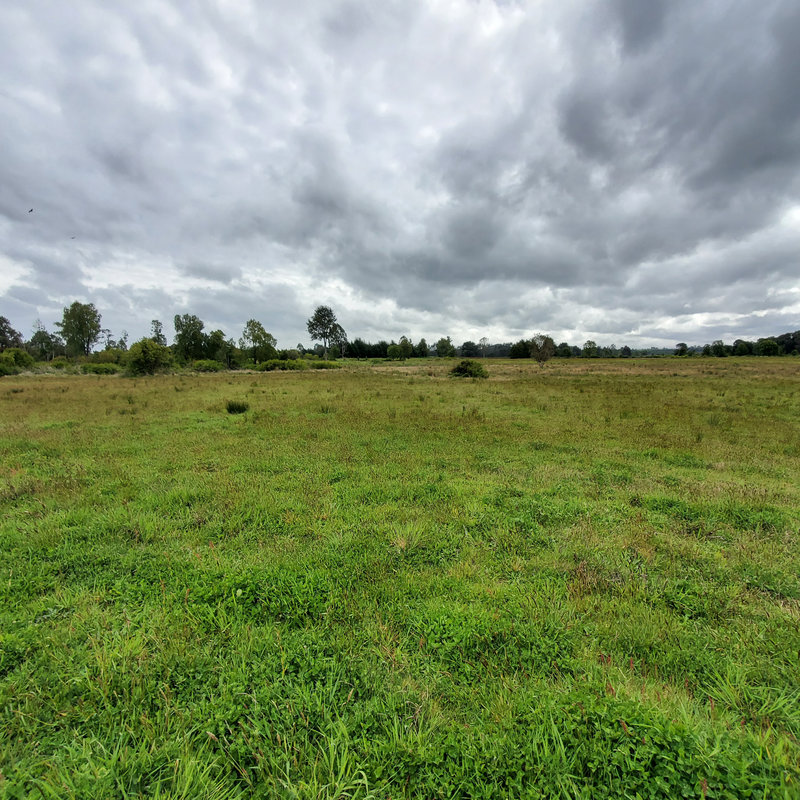 372 campo en venta 124 ha Puerto Montt invertir en terrenos en chile (8)